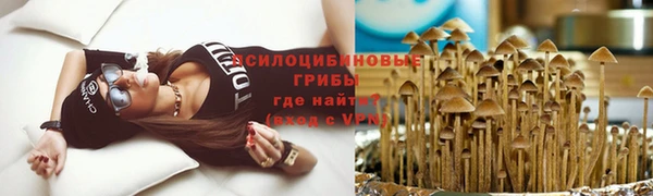 эйфоретик Алзамай