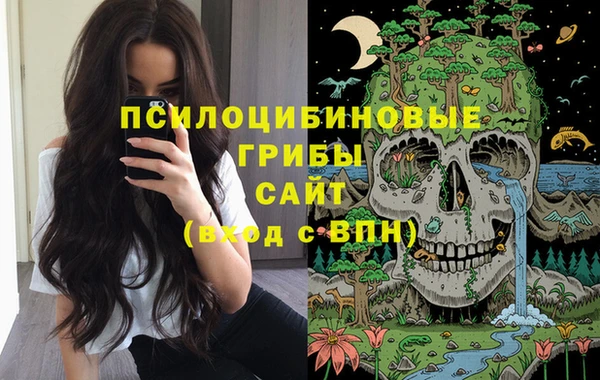 mdpv Алексин